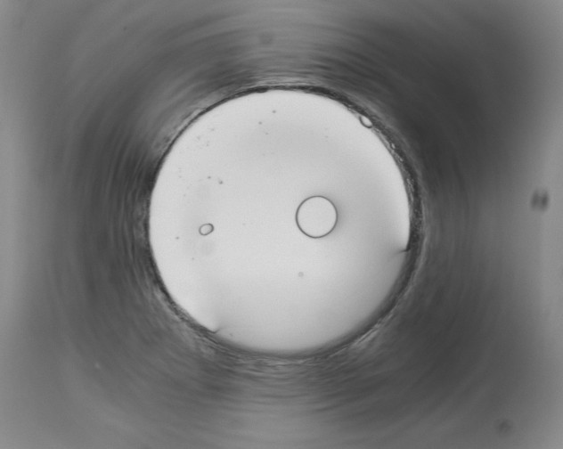 X0000113951273200911061256