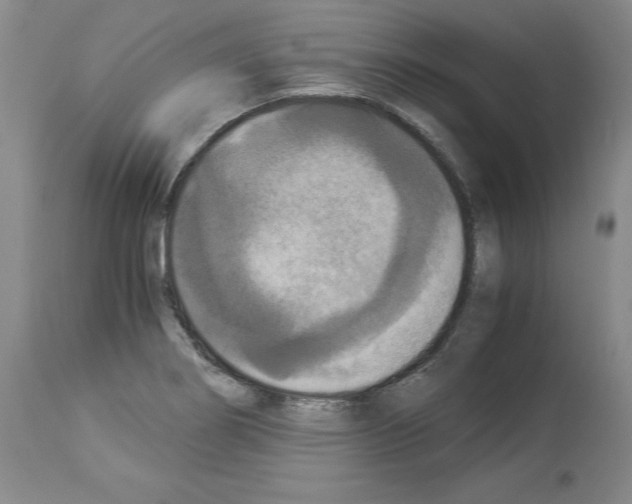 X0000113951274200911061256