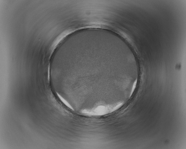X0000113951275200911061256