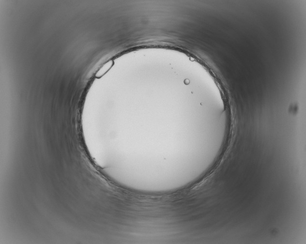 X0000113951277200911061256