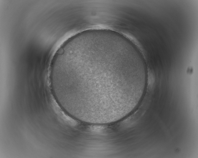 X0000113951278200911061256