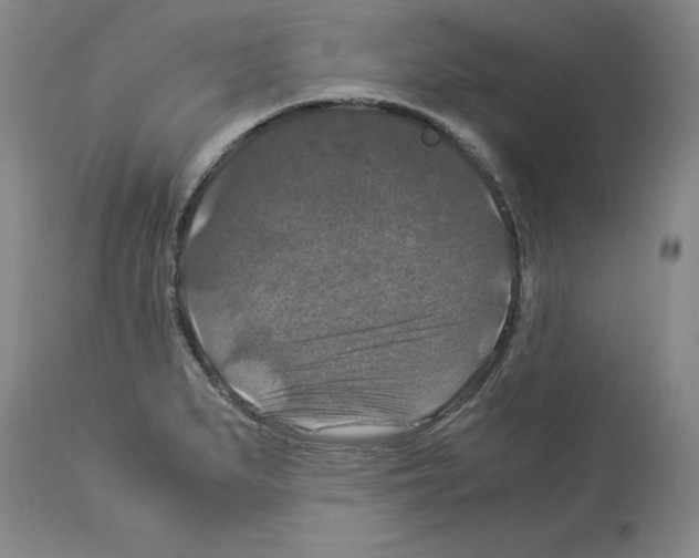X0000113951279200911061256