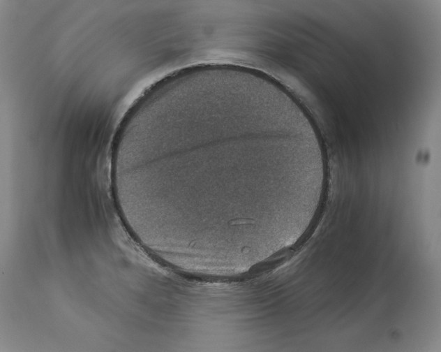 X0000113951280200911061255