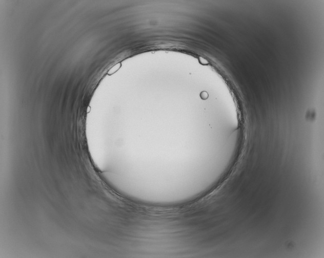 X0000113951281200911061255