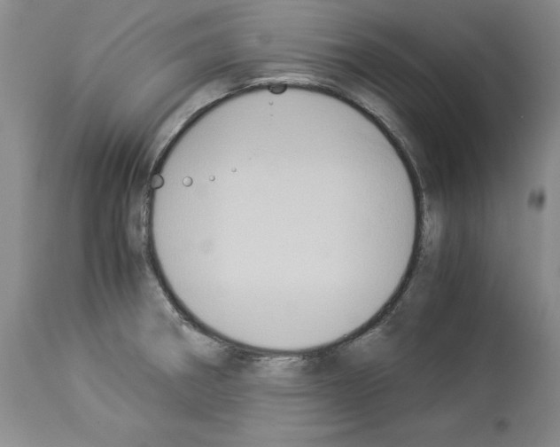 X0000113951282200911061255
