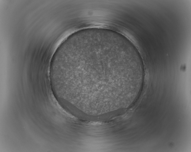 X0000113951283200911061255