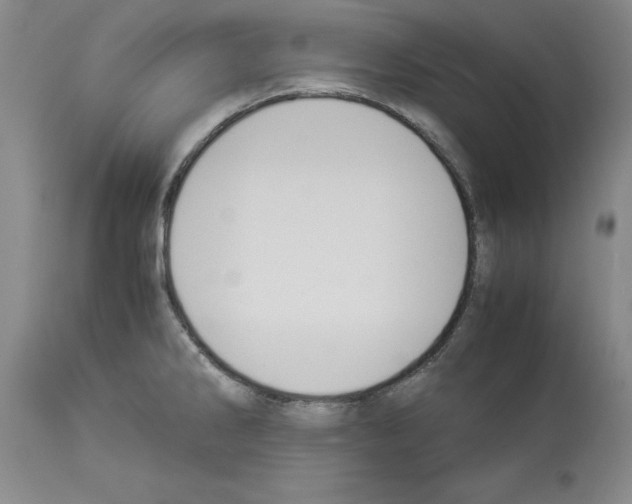 X0000113951286200911061255