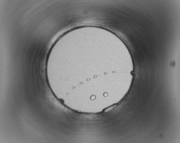 X0000113951288200911061255