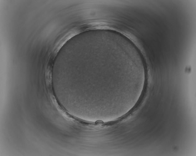 X0000113951289200911061255