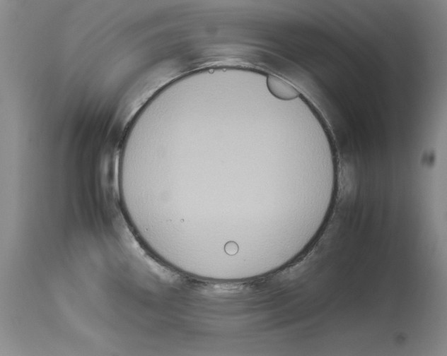 X0000113951290200911061255
