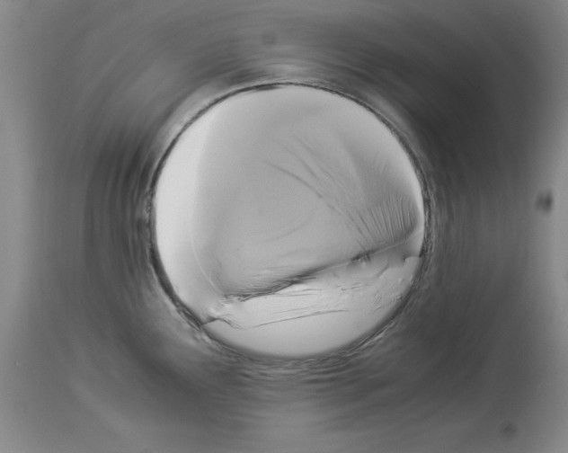 X0000113951291200911061255