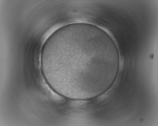 X0000113951294200911061255