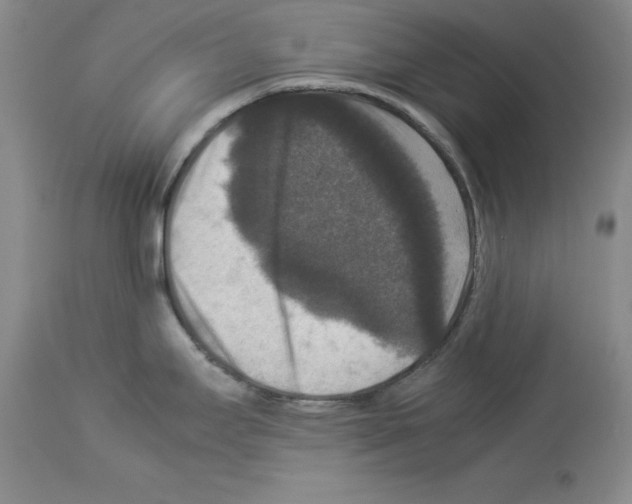 X0000113951295200911061255