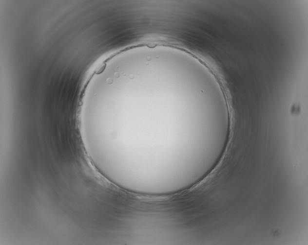 X0000113951296200911061255