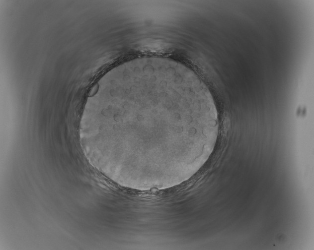 X0000113951297200911061254