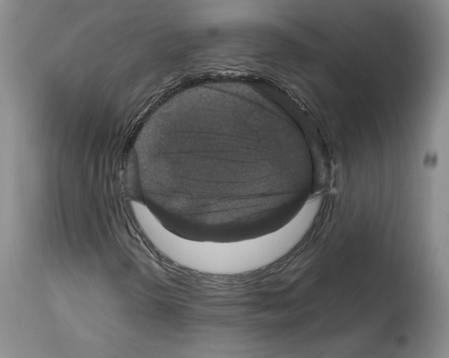X0000113951298200911061254