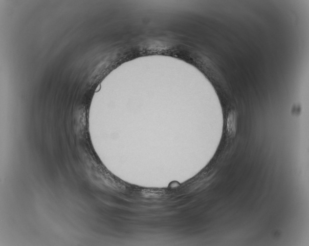 X0000113951299200911061254