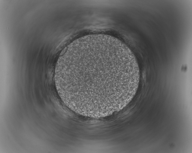 X0000113951300200911061254