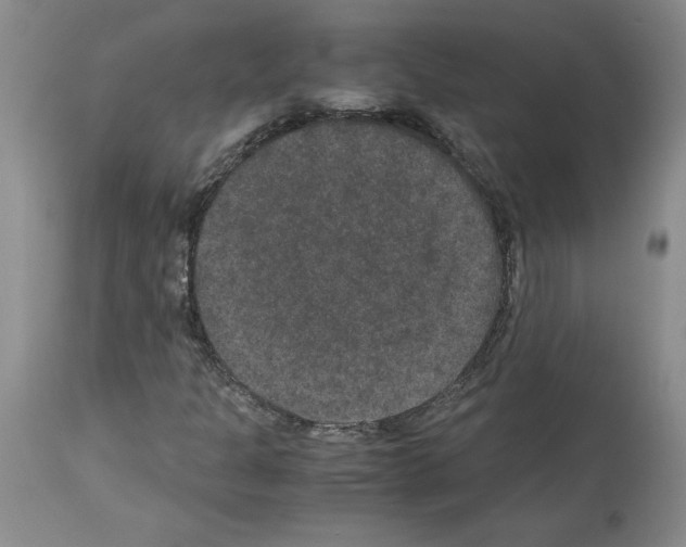 X0000113951301200911061254