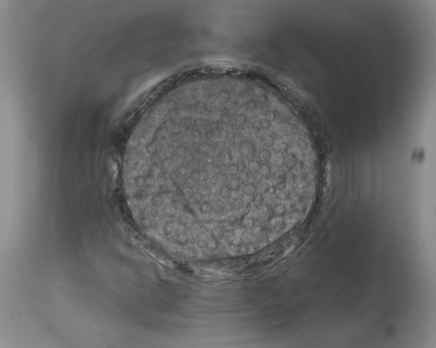 X0000113951302200911061255