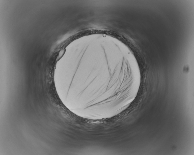X0000113951303200911061255