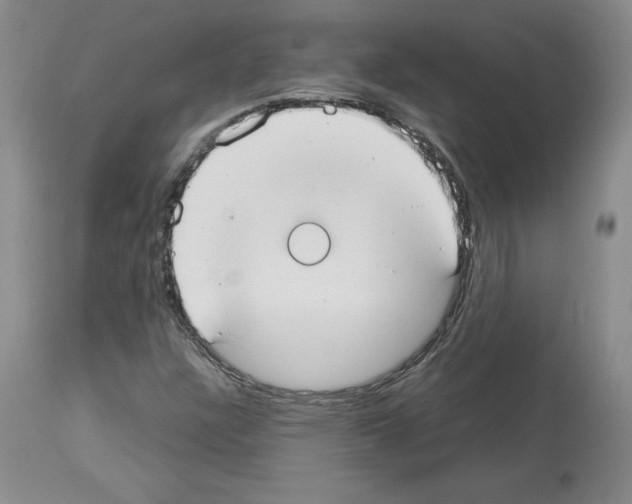 X0000113951304200911061255