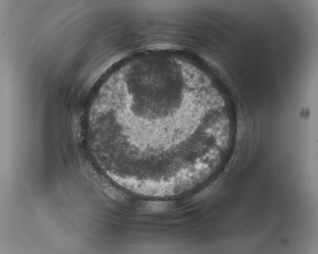 X0000113951305200911061255