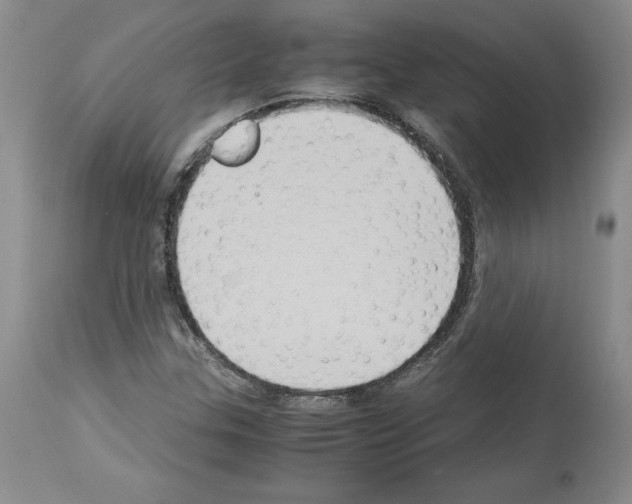 X0000113951307200911061255