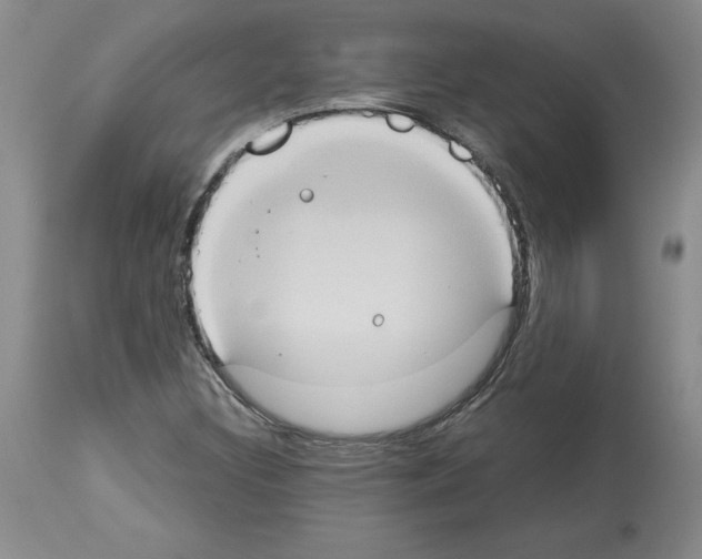 X0000113951308200911061255
