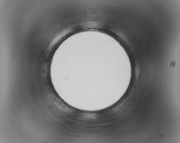 X0000113951309200911061255