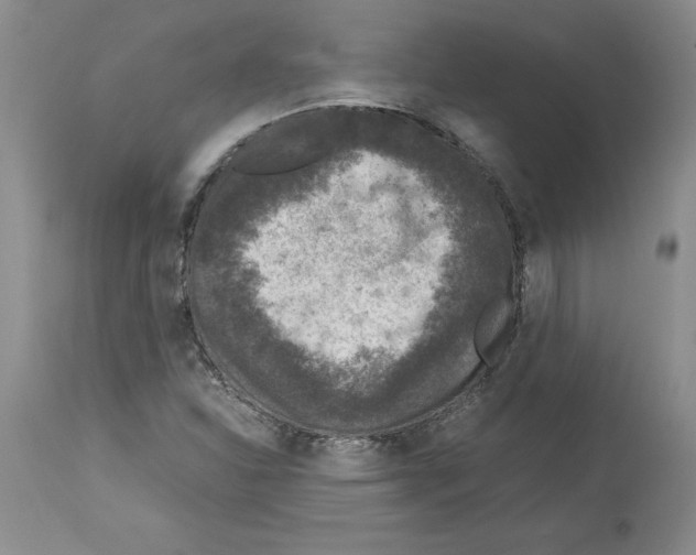 X0000113951310200911061255