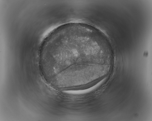 X0000113951311200911061255