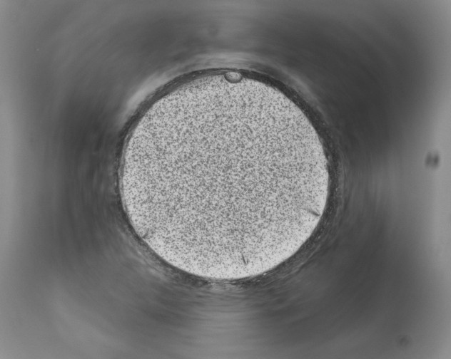 X0000113951312200911061255