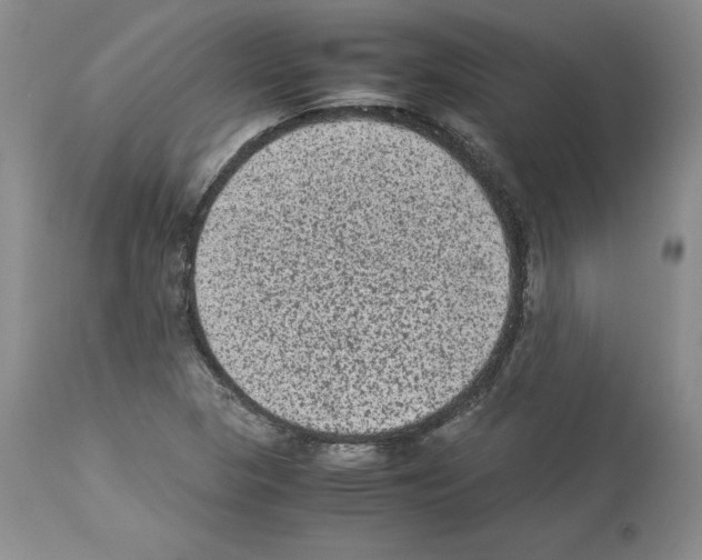 X0000113951313200911061255