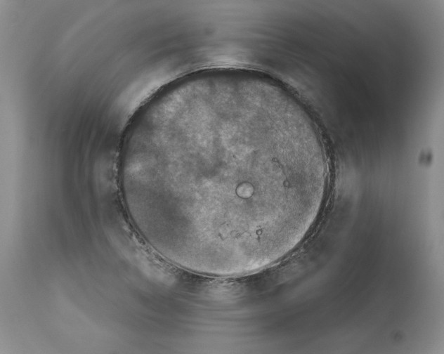 X0000113951314200911061255