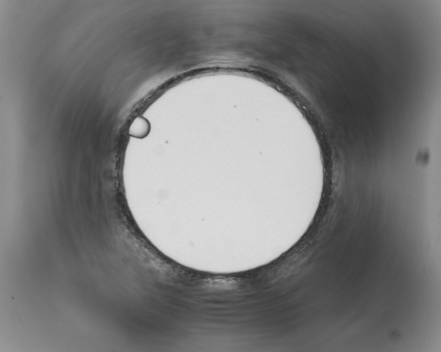 X0000113951315200911061255