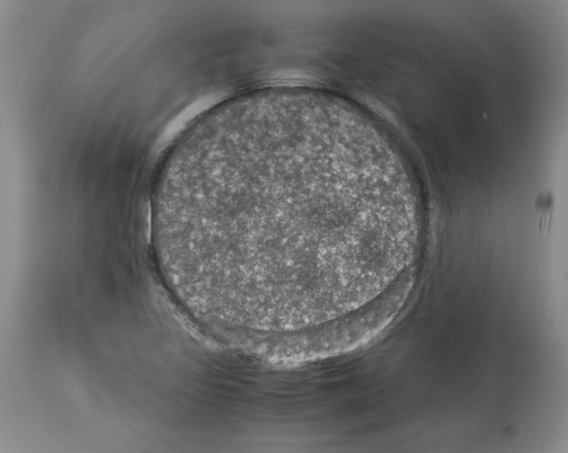 X0000113951317200911061255