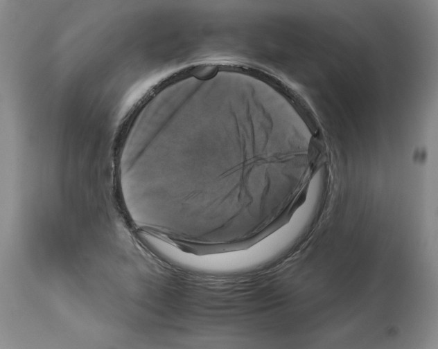 X0000113951319200911061255