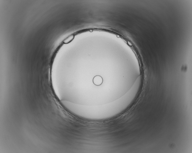 X0000113951320200911061255