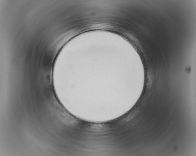 X0000113951322200911061255