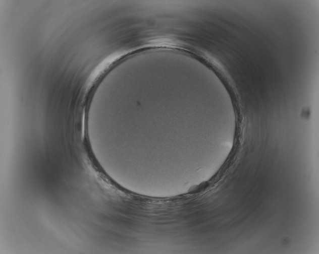X0000113951323200911061255