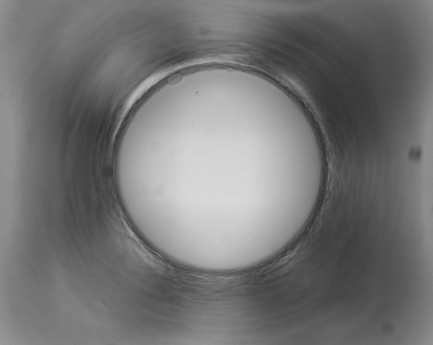 X0000113951324200911061255