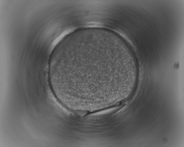 X0000113951325200911061255