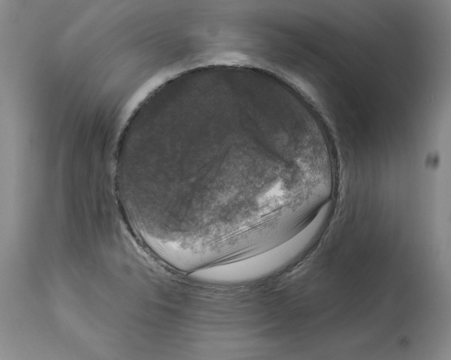 X0000113951326200911061255