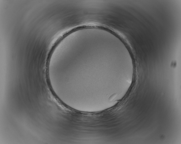 X0000113951327200911061255