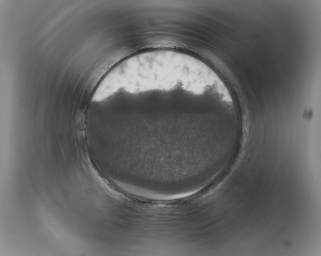 X0000113951329200911061255