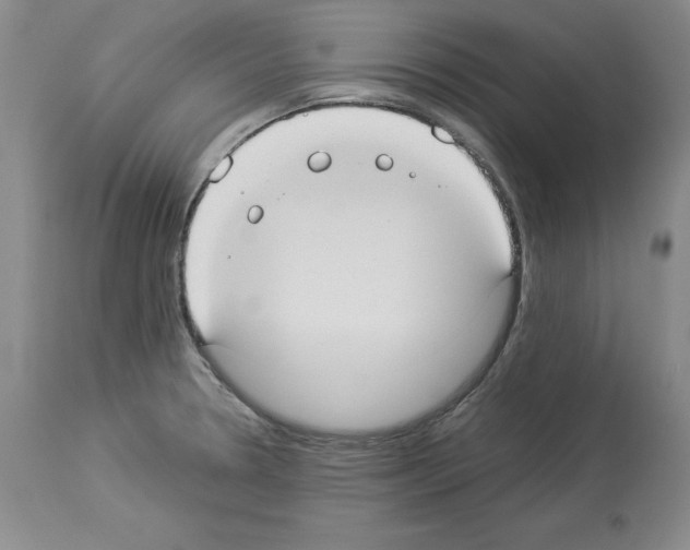 X0000113951330200911061255