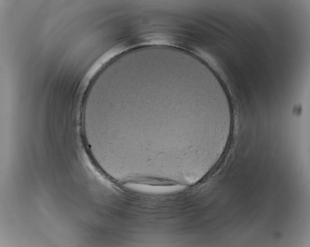 X0000113951331200911061255