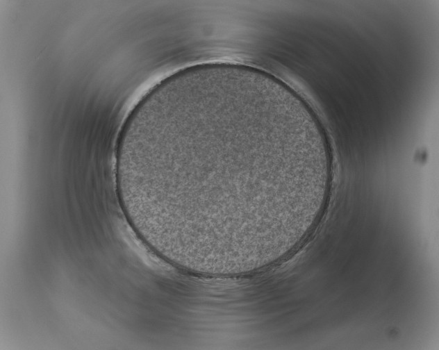 X0000113951332200911061255