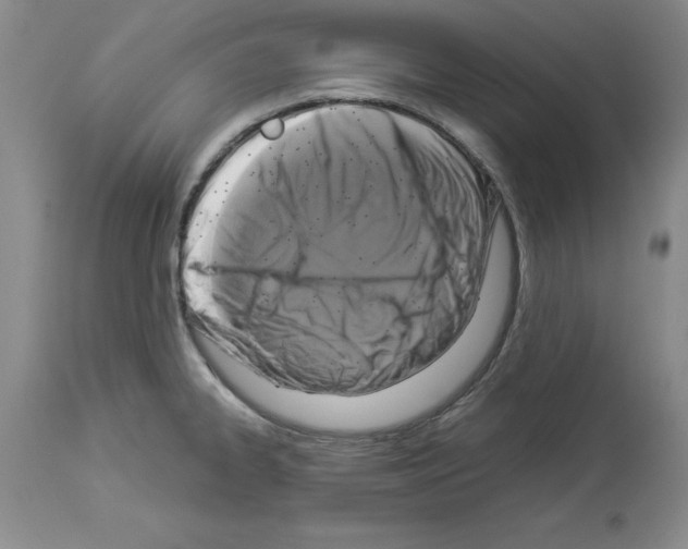 X0000113951334200911061255